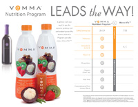 Vemma Leads The Way Illustration